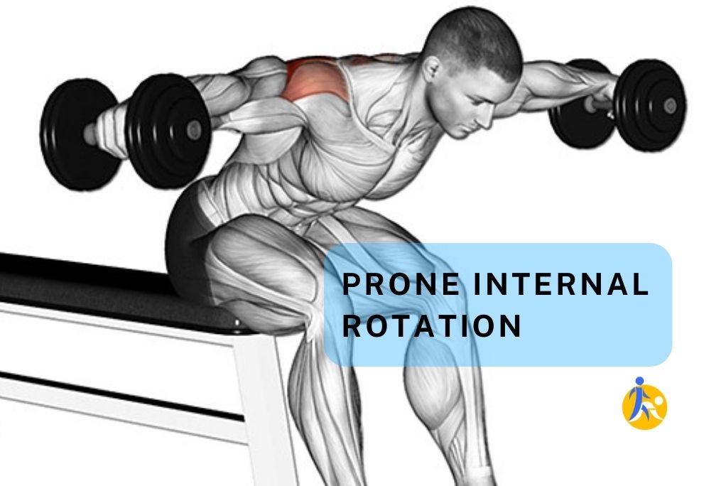 Prone Internal Rotation/Rear Delt Flyes