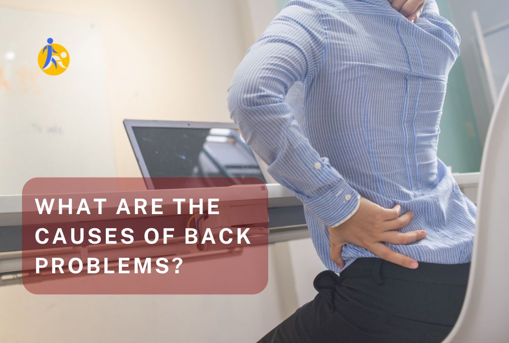 What are the causes of back problems?